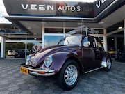 Volkswagen Kever - Winterkever Ice Blue