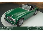 Austin Healey - MK3 Cabriolet | 1965