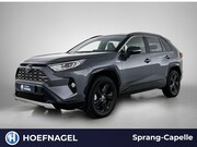 Toyota RAV4 - 2.5 Hybrid Dynamic | Camera | Navi | Cruise Control | Stoelv