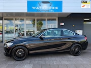 BMW 2-serie - 220i High Executive NAVI|LEDER|STOEL VERW.|AUTOMAAT