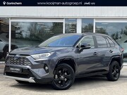 Toyota RAV4 - 2.5 Hybrid AWD Bi-Tone l leder l JBL l nette auto