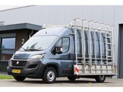Fiat Ducato - 30 2.3 MultiJEt L2H2 Glasresteel