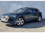 Audi e-tron - 50 quattro Launch edition plus 71 kWh // proefrit mogelijk