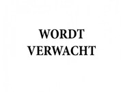 Opel Rocks-e - Brommobiel | 45 km | Bromfietsrijbewijs | Panoramadak |