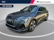 Audi e-tron - 55 408pk Quattro S edition 95 kWh · SOH 95, 6% · Panoramadak