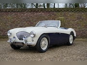 Austin Healey - 100/4 BN1 100M-spec, Denis Welch cilinder head, fully restor