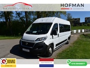 Fiat Ducato - Benzine-CNG L3h2 Airco 9 Pers schuifdeur rechts Rolstoel bus