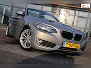 BMW 2-serie - 228i 245PK High Executive | Cruise | Carplay | Stoelverwarmi
