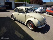 Volkswagen Kever - 1200 Standaard