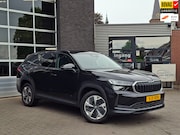 Skoda Kodiaq - 1.5 TSI PHEV Business Edition, zwenkbare trekhaak, winterpak