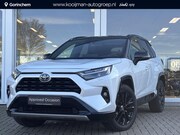 Toyota RAV4 - 2.5 Hybrid AWD Style