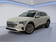 Audi e-tron - 55 quattro advanced Pro Line Plus 95 kWh|PANO|HUD|B&O|