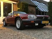 Jaguar XJS - V12 Cabrio