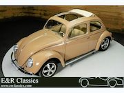 Volkswagen Kever - Ovaal Ragtop | 1957