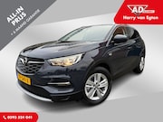 Opel Grandland X - 1.2 Turbo Business Executive | Navi | ECC | Cruise | Trekhaa