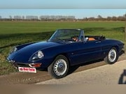 Alfa Romeo Spider - DUETTO 1600 '67 lederen interieur