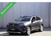 Toyota RAV4 - 2.5 Hybride AWD Dynamic 2019 114.177KM