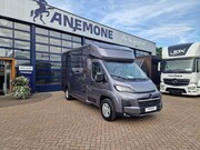 Opel Movano - AKX S3 nieuw paardenwagen Automaat Pro-safety hengsten uitvo