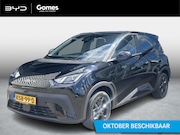 BYD Dolphin Surf - Boost 43 kWh | Apple Carplay & Android Auto | Adaptief cruis