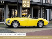 Austin Big Healey - 100-6