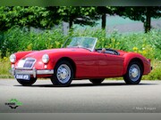 MG A-type - Roadster