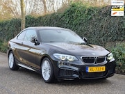 BMW 2-serie - Coupé M-Sport Apple Carplay Line Assist 2e eigenaar High Exe