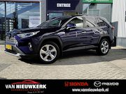 Toyota RAV4 - 2.5 Hybrid AWD Executive | Trekhaak | JBL | Camera
