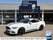 Ford USA Mustang - Fastback 2.3 EcoBoost / 317 PK / Automaat / Race-S