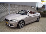 BMW 2-serie - Cabrio 220i High Executive Luxury Autom Leder Sportst Stoelv
