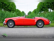 MG A-type - Roadster