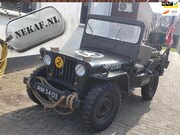 Willys M38 - Jeep