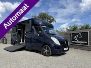 Renault Master - | HORSETRUCK | STX | STALLION 5XL | 2018 | HENGST | AUTOMATI