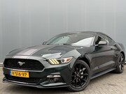Ford Mustang - Fastback BWJ 10-2018 | 310 PK AUTOMAAT RTR RECARO INT. | CAR