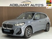 BMW X1 - XDrive30e M Sport 326 PK Automaat / Panorama dak / Lederen i