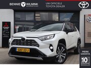 Toyota RAV4 - 2.5 Hybrid AWD Bi-Tone