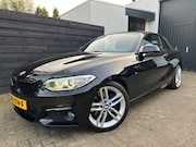 BMW 2-serie - 220i High Executive, M-sport, Leder, Org. NL