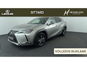 Lexus UX - 250h Luxury Line, BSM, All Season banden