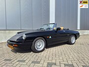 Alfa Romeo Spider - 2.0 met Alfaholics velgen