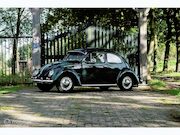 Volkswagen Kever - 1100 Ovaal