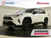 Toyota RAV4 - 2.5 Hybrid AWD Bi-Tone | Elektr. a. klep | DAB | PDC |