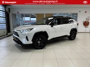 Toyota RAV4 - 2.5 Hybrid Bi-Tone , Panorama/ schuifdak, winterpakket