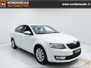 Skoda Octavia - 1.4 TSI GRT AMBITION BUSINESSLINE. CRUISE, TREKHAAK, NAVI