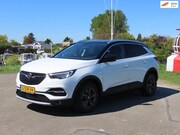 Opel Grandland - X 1.2 Turbo 120 Jaar Edition *Carplay *Camera *DIST VV