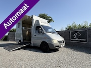 Mercedes-Benz Sprinter - | HORSETRUCK | TVW | CLASSIC 3XL | 2002 | AUTOMAAT | 162.147
