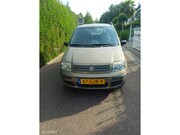 Fiat Panda - 1.2 Edizione Cool