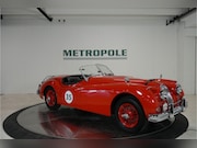 Jaguar XK - 140 SE OTS M1166