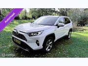 Toyota RAV4 - Hybrid Automaat met een beetje Diefstalschade