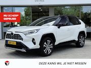 Toyota RAV4 - 2.5 Hybrid AWD Bi-Tone