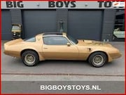 Pontiac Firebird - 6.6 Targa