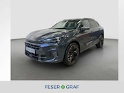CUPRA Terramar - 1.5 TSI Hybrid HUD*NAVI*ACC*LED*LM